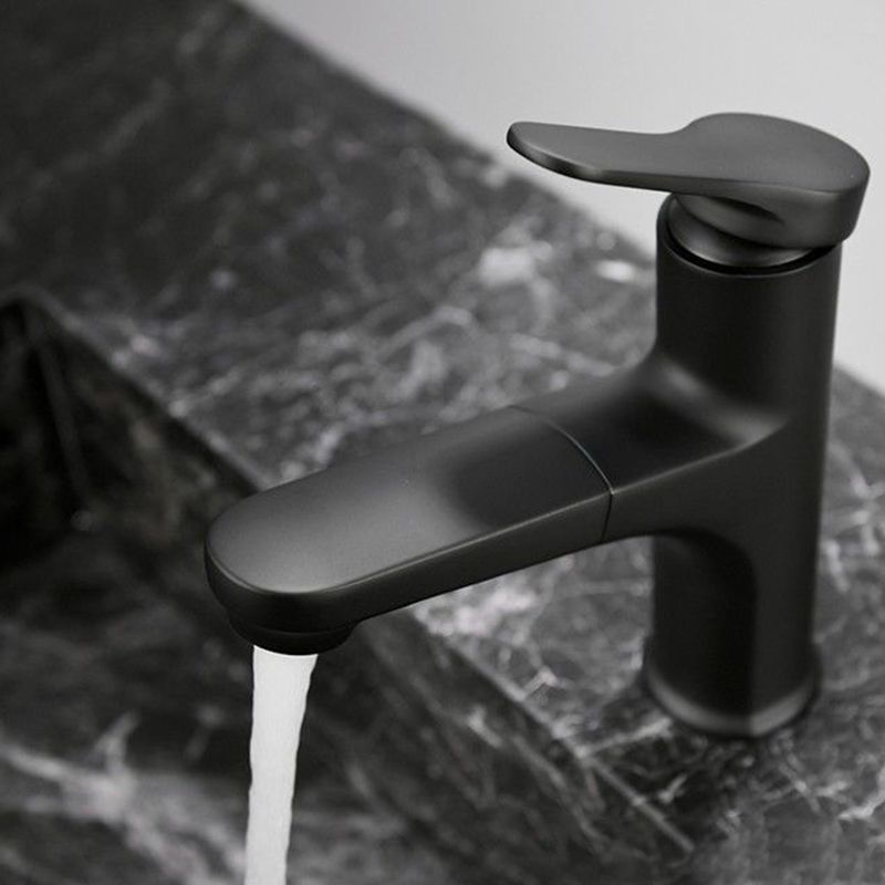 Lisslune | Contemporary Style Faucet Single Lever Mixer with Swivel Spout