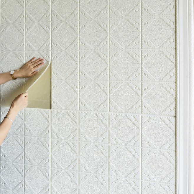 Lisslune | Modern Wall Covering Peel and Stick Waterproof 3D Print Wall Panel