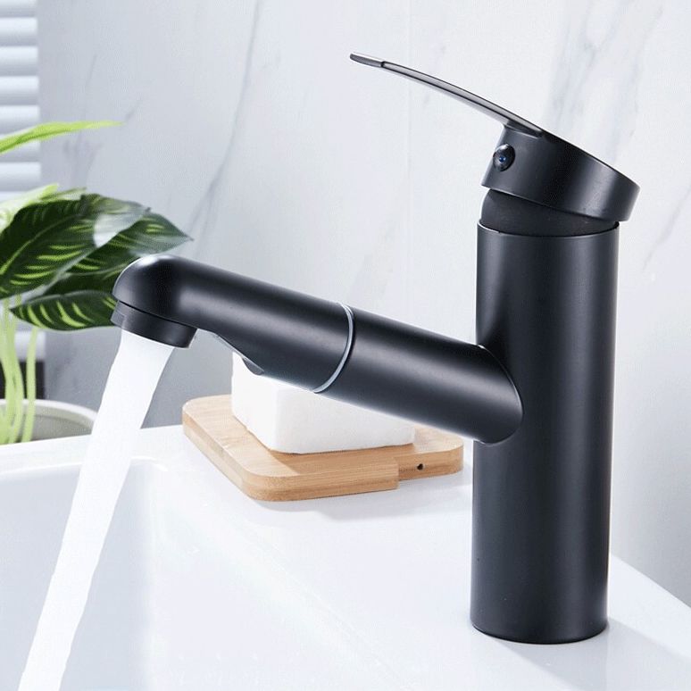 Lisslune | Contemporary Style Faucets Single Handle Swivel Spout Faucets