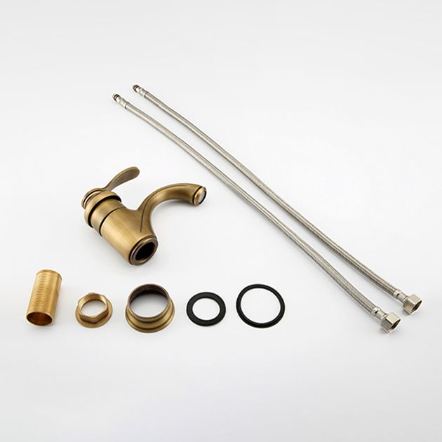 Lisslune | Brass Bathroom Vessel Basin Faucet Single Lever Handle Round Basin Faucet with Water Hose