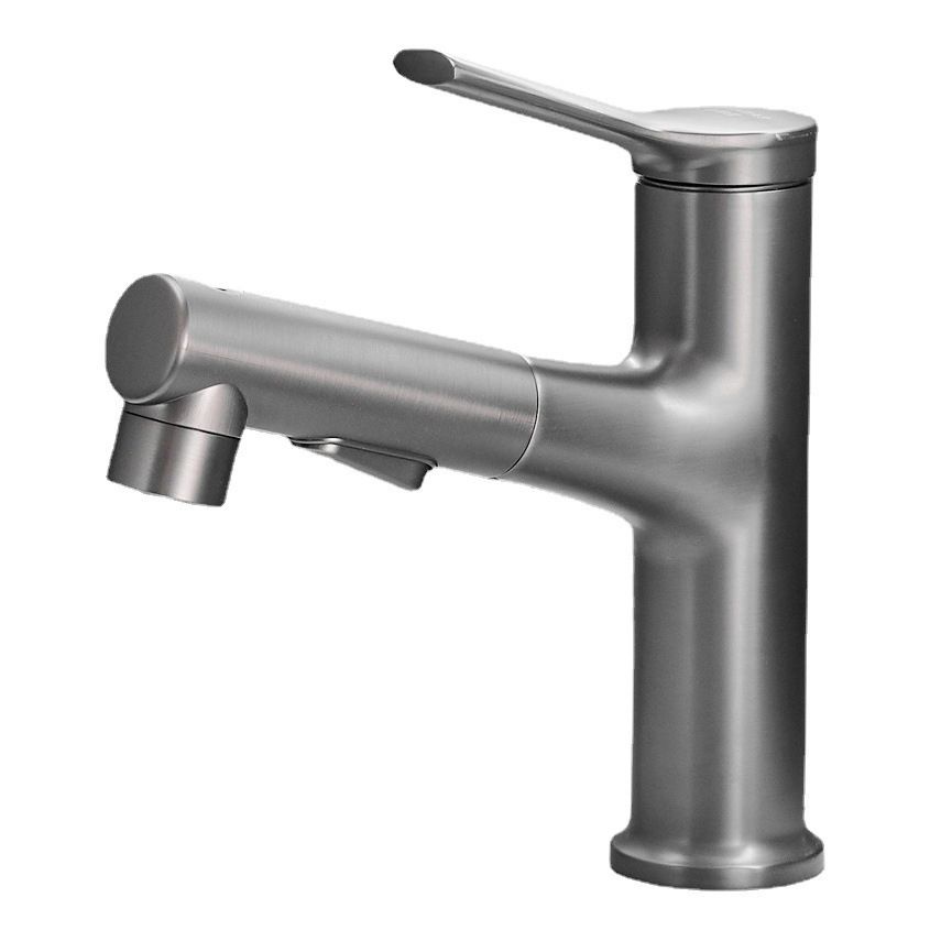 Lisslune | Contemporary Pull-out Sink Faucet with Lever Handle