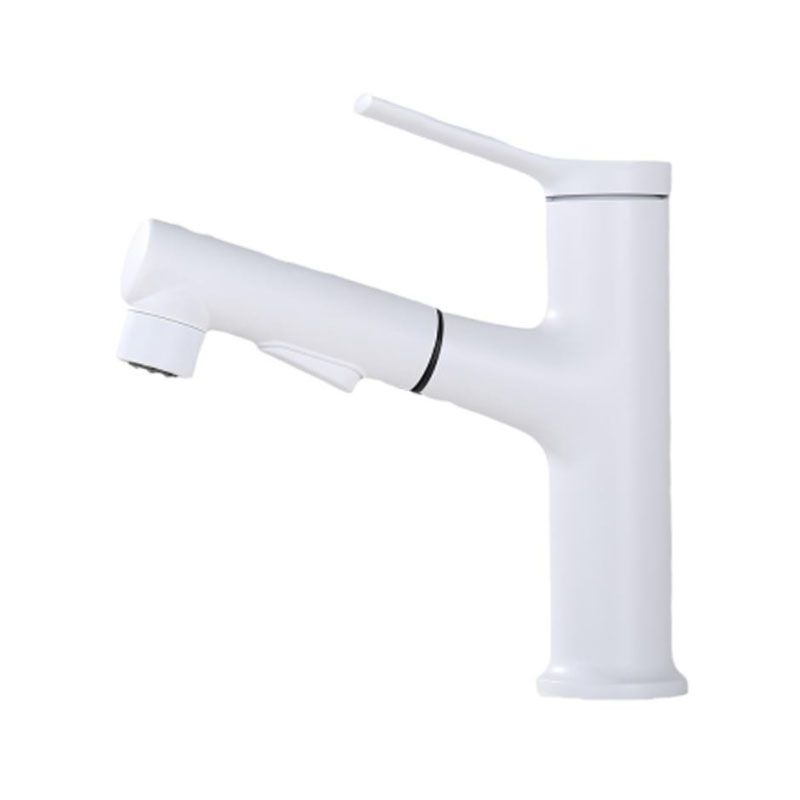 Lisslune | Contemporary Single Handle Faucet Pull Out Kitchen Faucet with Lever Handle