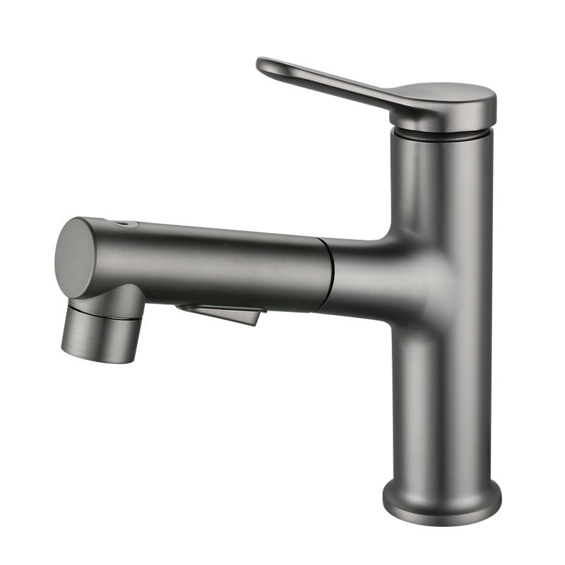 Lisslune | Modern Extendable Sink Faucet Bathroom Faucet Brass 1 Handle Sink Faucet with Water Hose