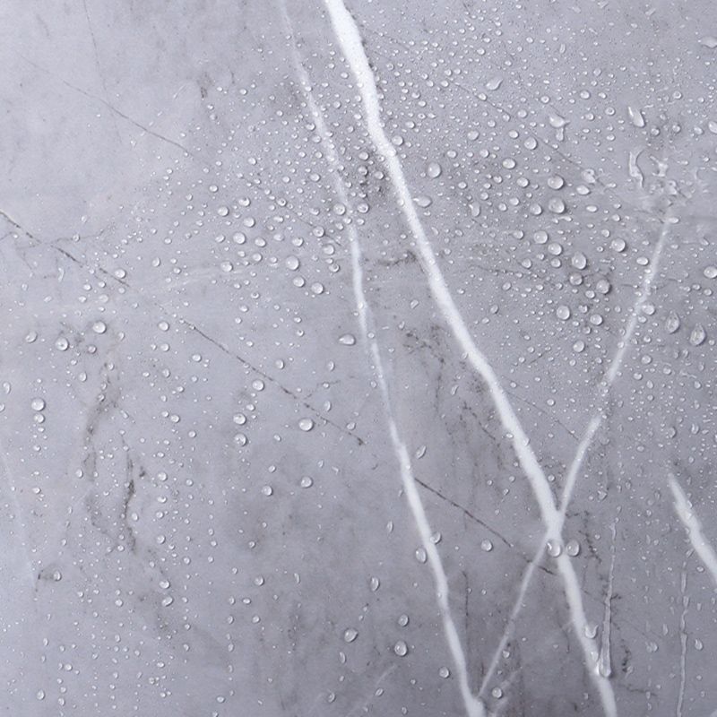 Lisslune | Modern Peel and Stick Back Panel Rectangular Peel and Stick Back Panel Wall Tile