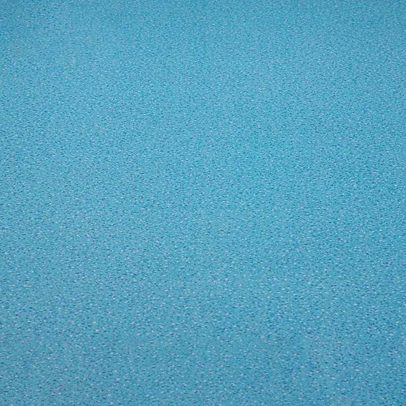 Lisslune | Indoor Flooring Peel and Stick Coiled PVC 200cm Waterproof Vinyl Flooring