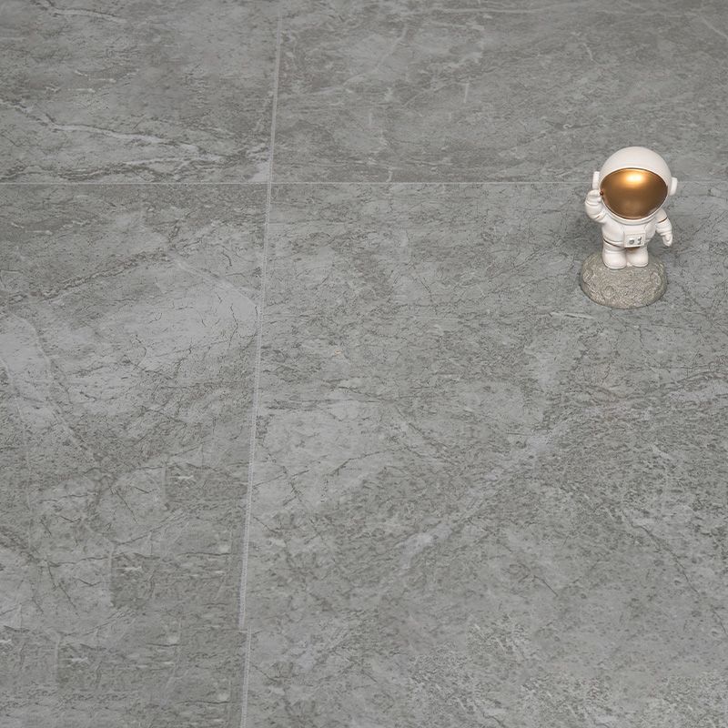 Lisslune | Indoor Flooring Peel and Stick Coiled PVC 200cm Waterproof Vinyl Flooring