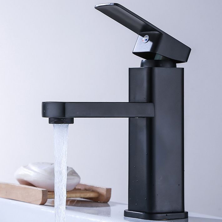 Lisslune | Industrial Bathroom Faucet Stainless Steel Lever Handles with Water Hose Sink Faucet