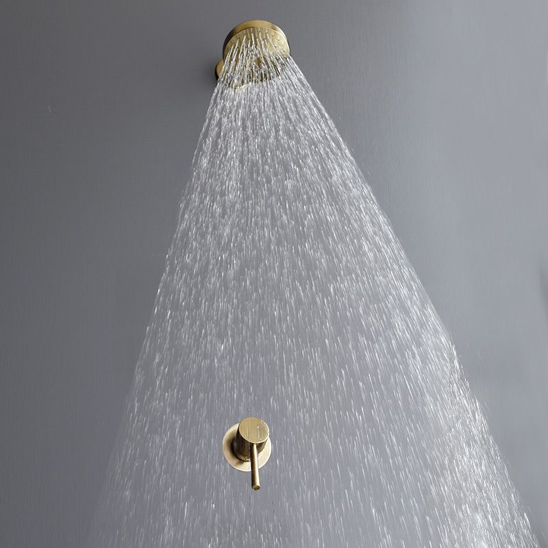 Lisslune | Stainless Steel Shower Combination Round Fixed Shower Head with Shower Arm
