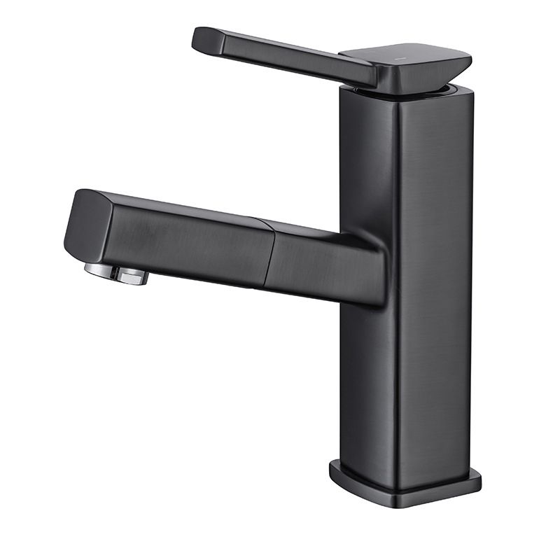 Lisslune | Glam Style Faucet Single-Handle Centerset Faucet with Swivel Spout
