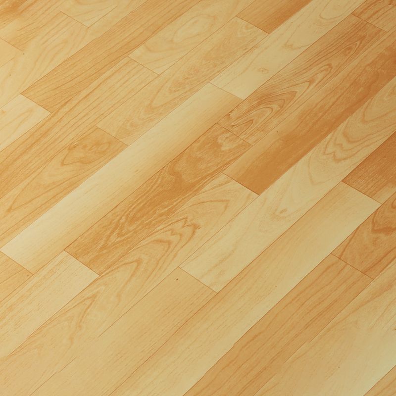 Lisslune | Indoor Flooring Peel and Stick Coiled PVC 200cm Waterproof Vinyl Flooring