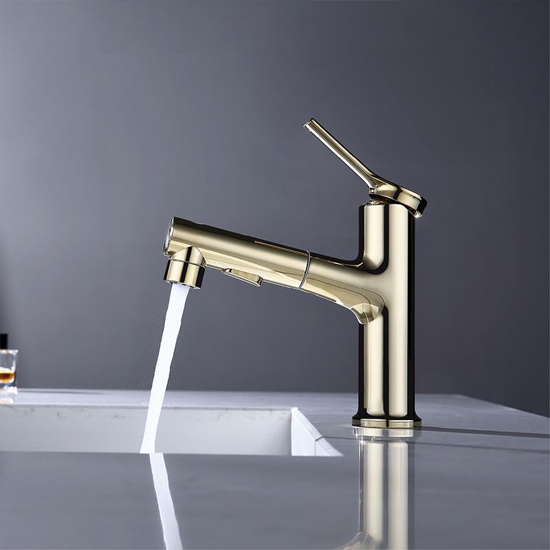 Lisslune | Contemporary Single Handle Faucet Pull Out Kitchen Faucet with Lever Handle