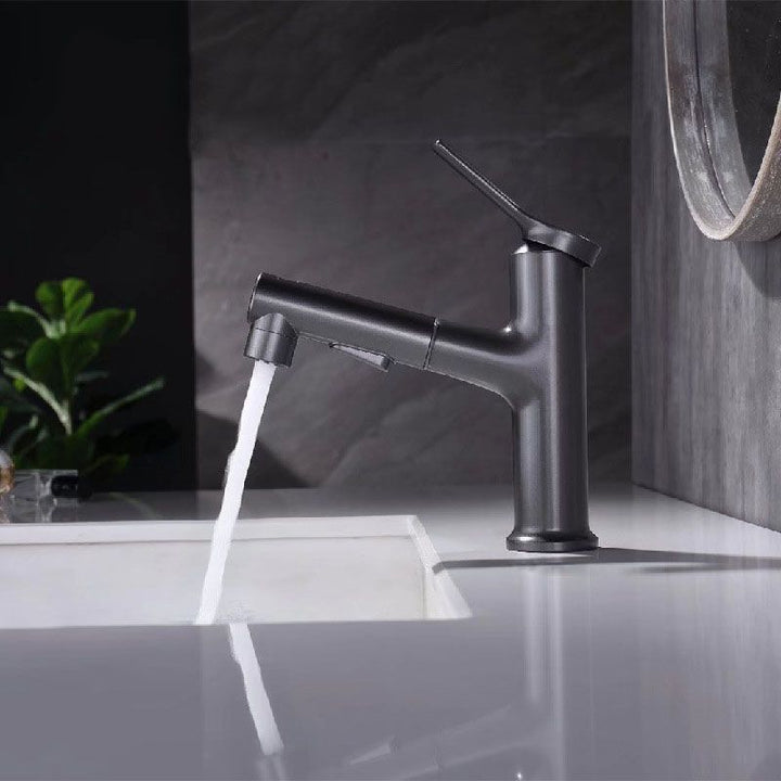 Lisslune | Contemporary Single Handle Faucet Retractable Sink Faucet with Lever Handle