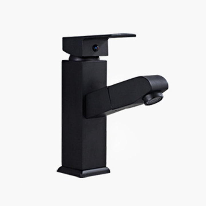 Lisslune | Contemporary Style Faucets Single Handle Swivel Spout Faucets