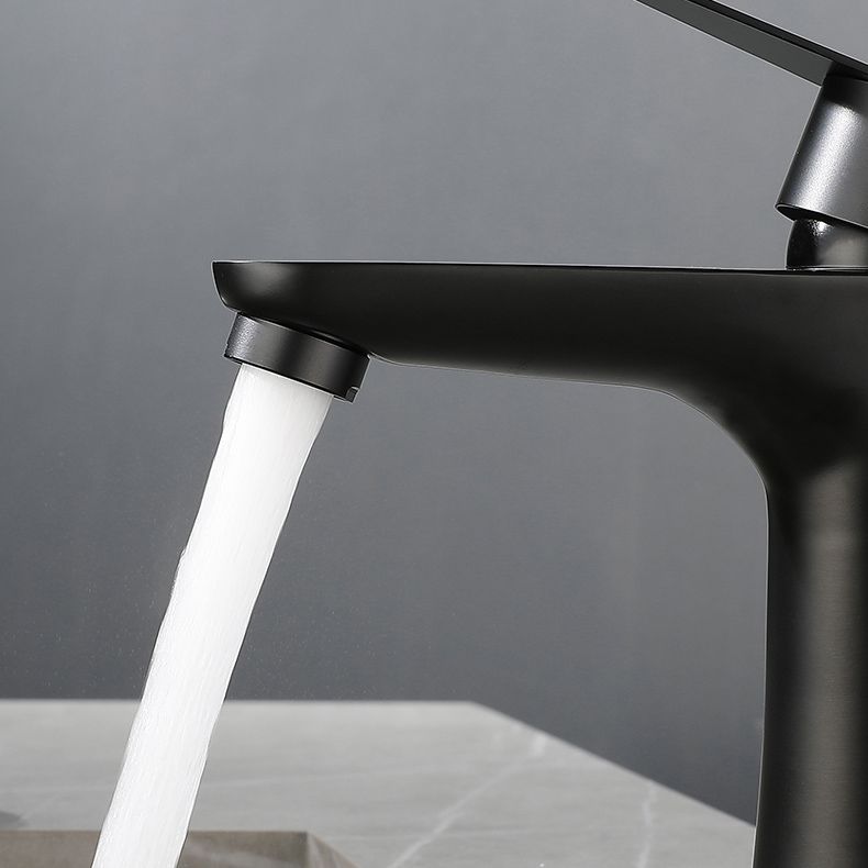 Lisslune | Round Vessel Faucet Lever Handle Stainless Steel Bathroom Faucet with Water Hose