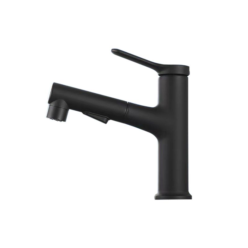 Lisslune | Vessel Sink Faucet Contemporary Pull-out Faucet with Swivel Spout