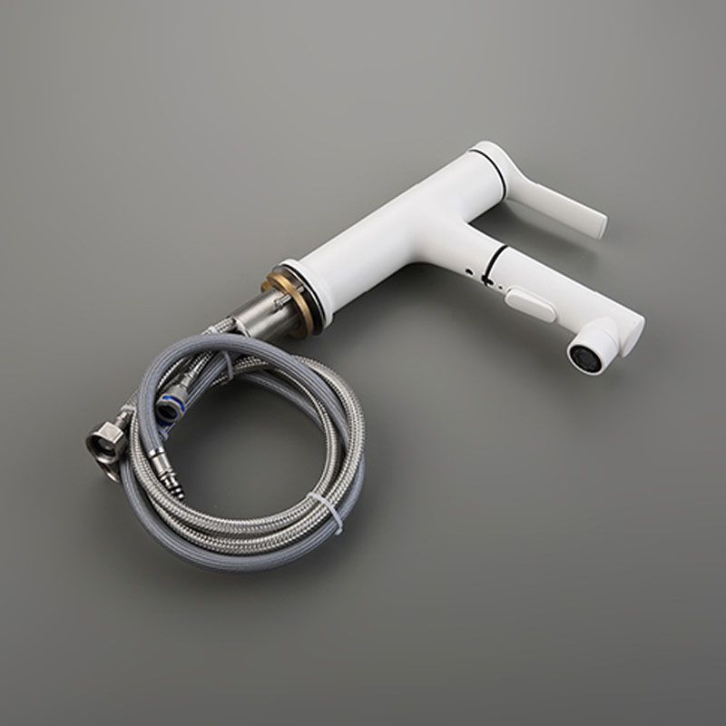 Lisslune | Contemporary Single Handle Faucet Pull Out Kitchen Faucet with Lever Handle