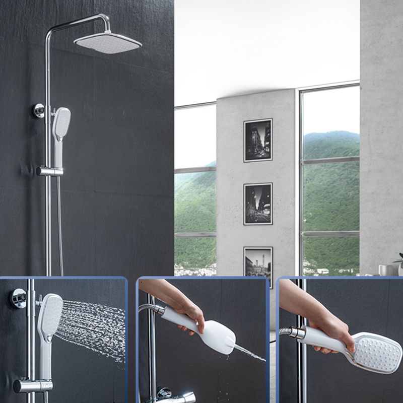 Lisslune | Contemporary Showerhead Standard Spray Pattern Including Hose