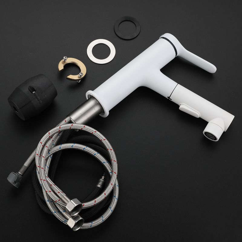 Lisslune | Modern Extendable Sink Faucet Bathroom Faucet Brass 1 Handle Sink Faucet with Water Hose