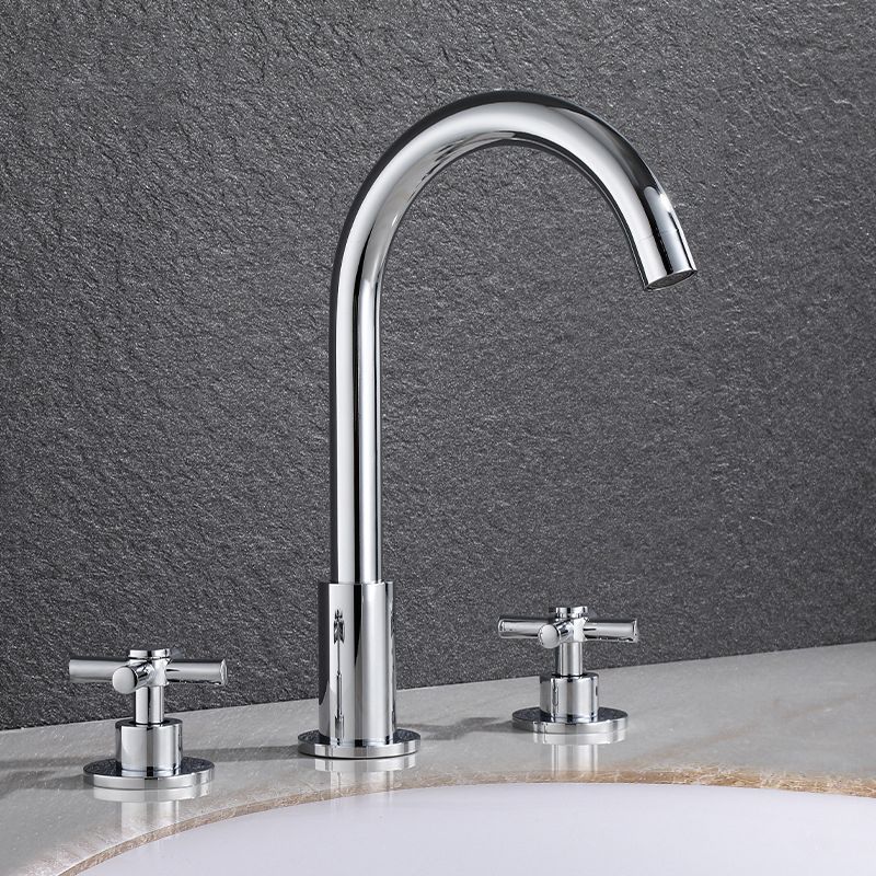 Lisslune | Goose Neck Bathroom Sink Faucet 2 Handles Hot and Cold Water Sink Faucet with Drain