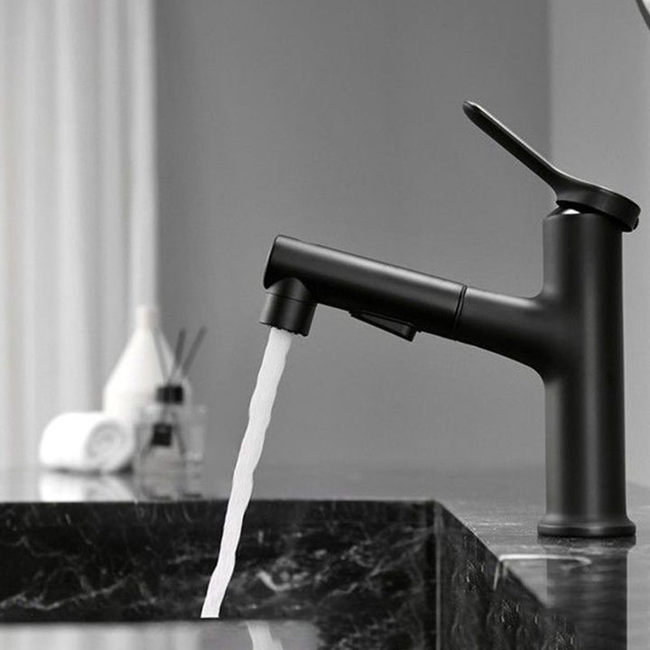 Lisslune | Contemporary Style Faucet Single Lever Mixer with Swivel Spout