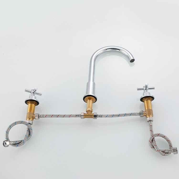 Lisslune | Goose Neck Bathroom Sink Faucet 2 Handles Hot and Cold Water Sink Faucet with Drain