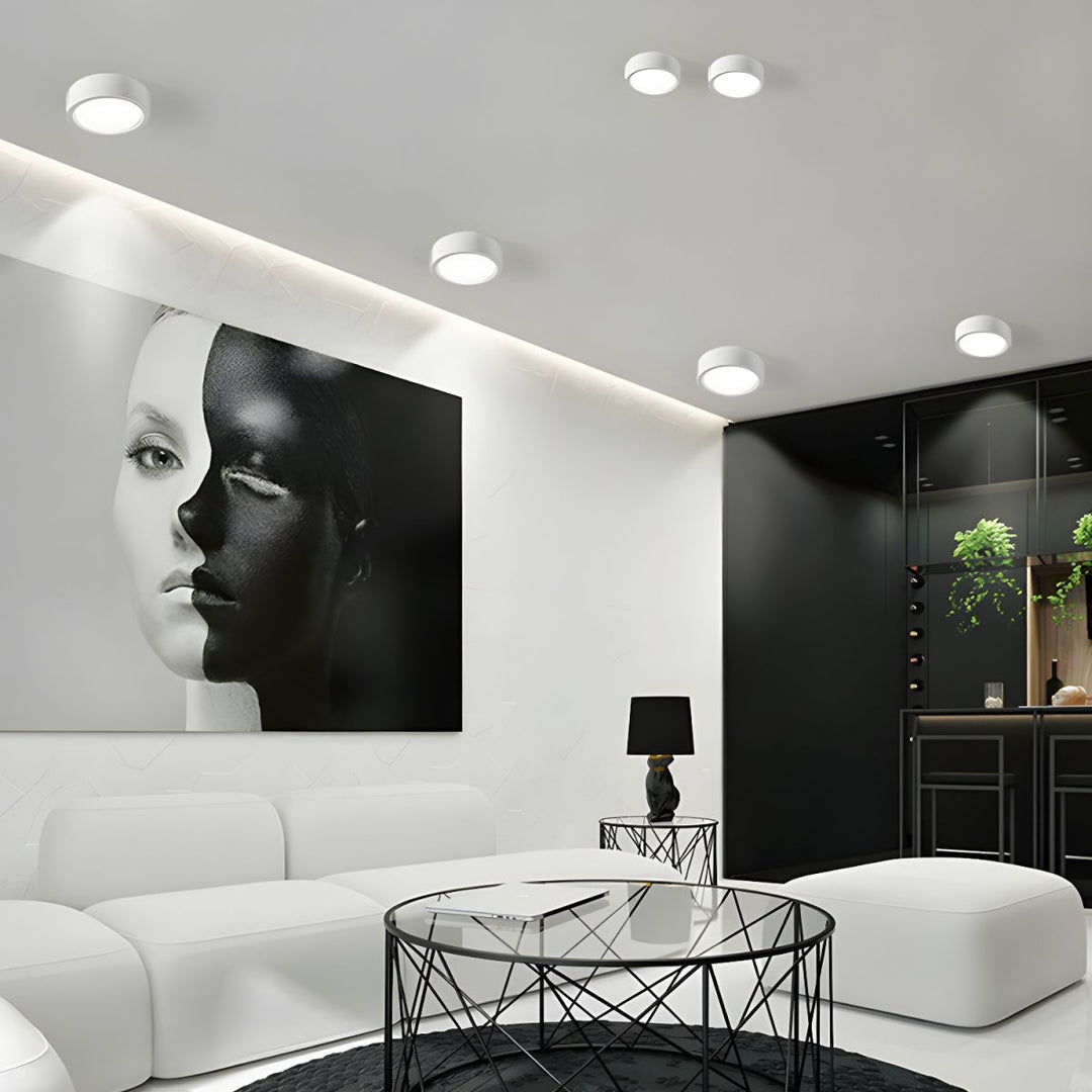 Lisslune | LED Flush Mount Ceiling Light - Nordic Style Fixture for Indoor Spaces & Modern Home Decor