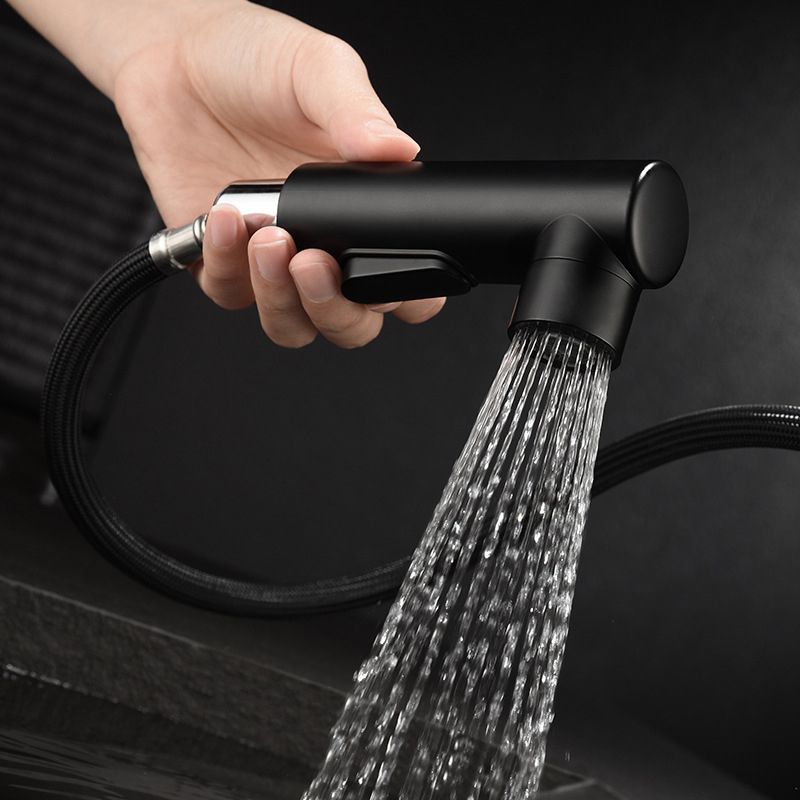 Lisslune | Modern Sink Faucet Copper Single Handle Low Arc Pull Down Sink Faucet