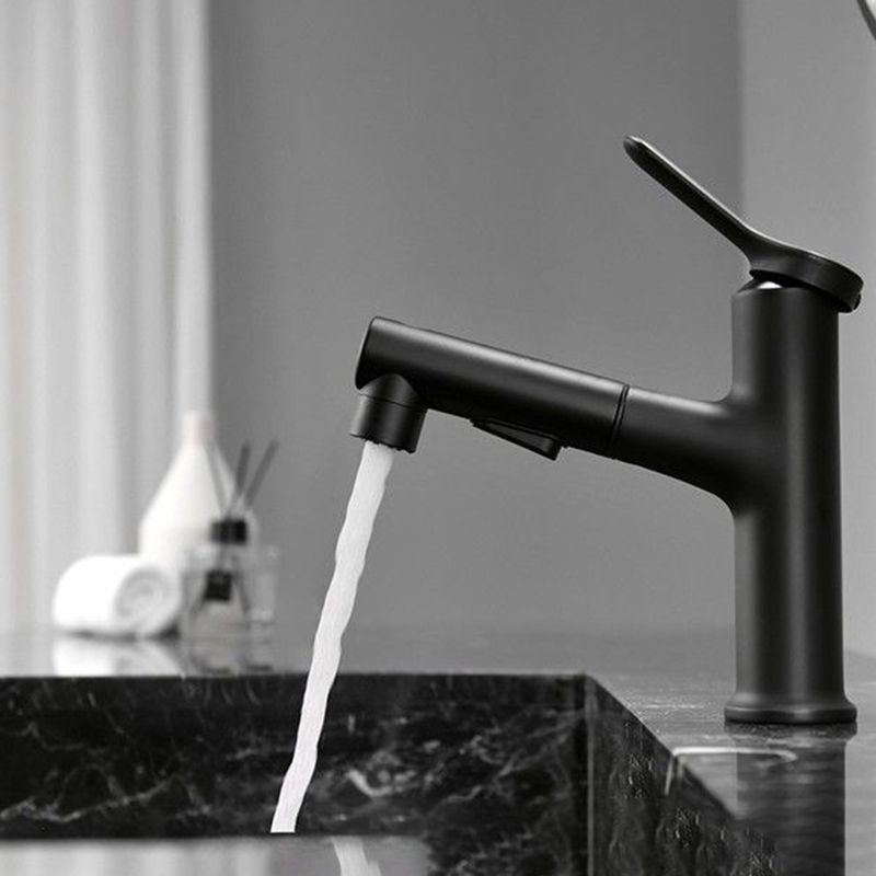Lisslune | Contemporary Style Faucet Single Lever Mixer with Swivel Spout