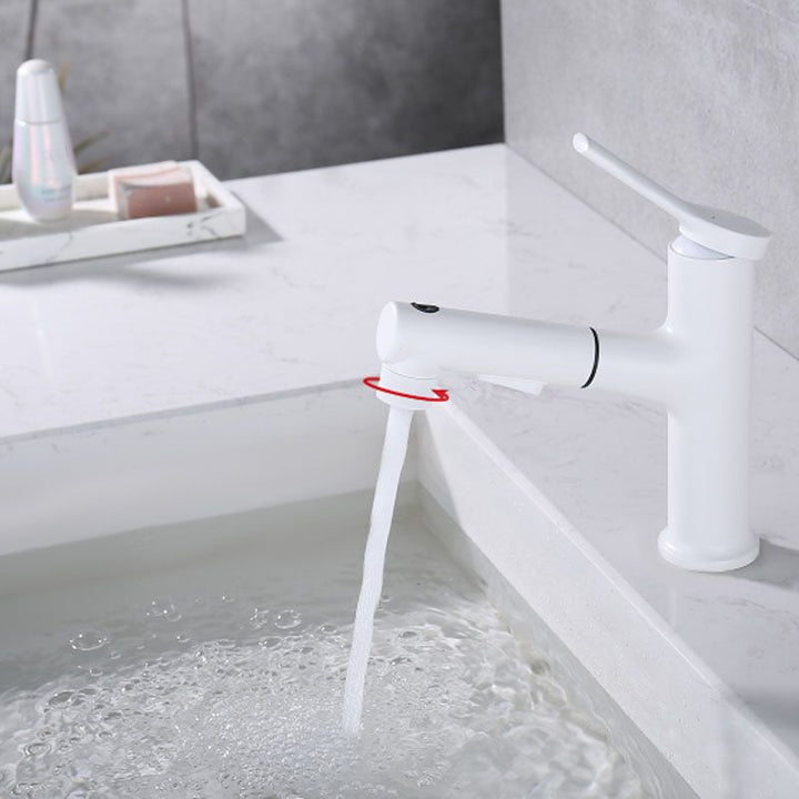Lisslune | Contemporary Single Handle Faucet Pull Out Kitchen Faucet with Lever Handle