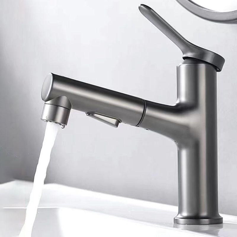 Lisslune | Contemporary Style Faucet Single Lever Mixer with Swivel Spout