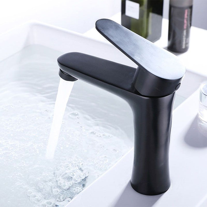 Lisslune | Contemporary Stainless Steel Basin Tap Lever Handles Low Arc Basin Mixer