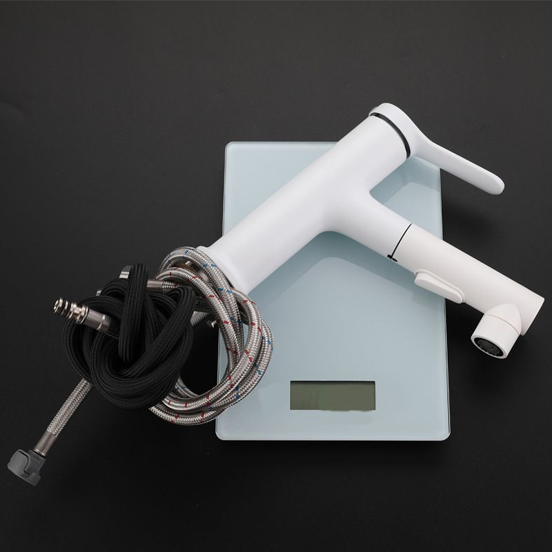 Lisslune | Modern Extendable Sink Faucet Bathroom Faucet Brass 1 Handle Sink Faucet with Water Hose