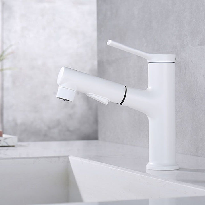 Lisslune | Contemporary Single Handle Faucet Pull Out Kitchen Faucet with Lever Handle