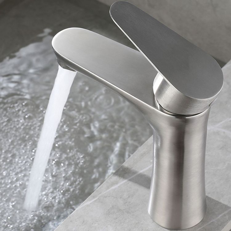 Lisslune | Round Vessel Faucet Lever Handle Stainless Steel Bathroom Faucet with Water Hose
