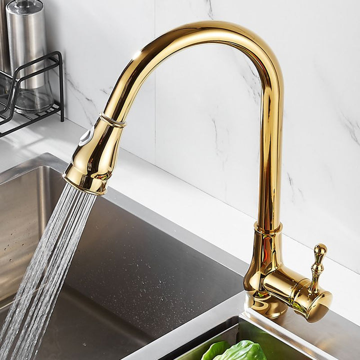 Lisslune | Brushed Gold Kitchen Faucet High Arc Swivel Spout with Pull-Down Spray Head