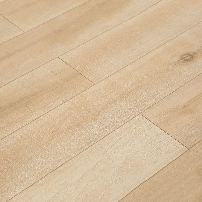 Lisslune | Contemporary Laminate Flooring Light Color Wood Laminate Flooring