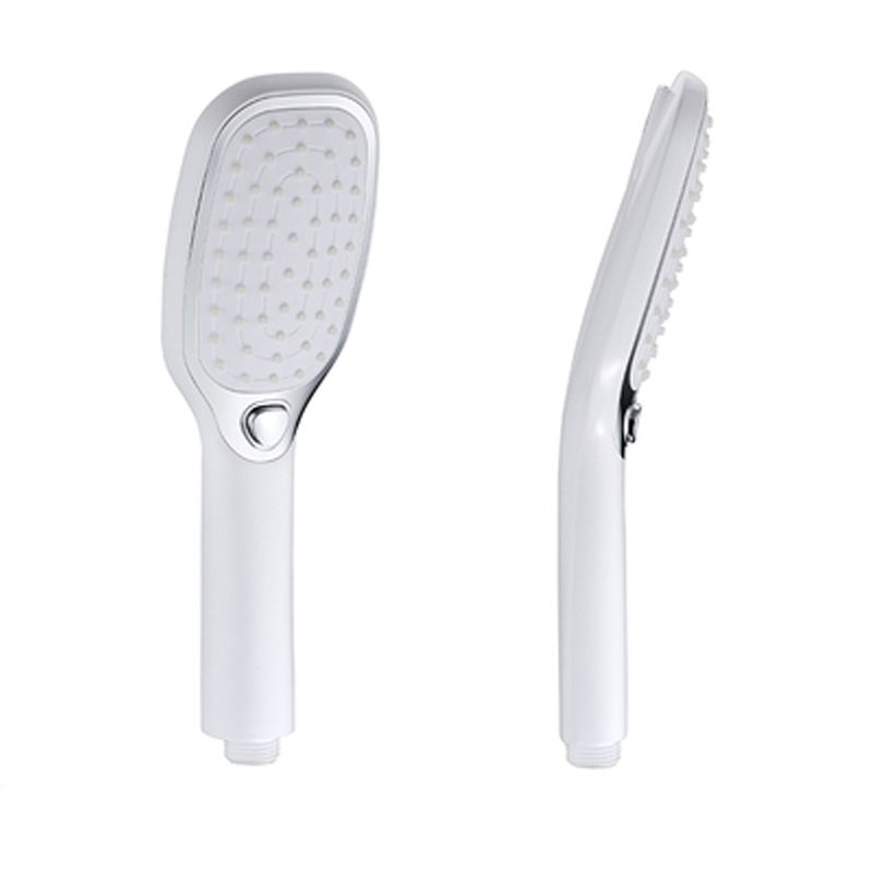 Lisslune | Contemporary Showerhead Standard Spray Pattern Including Hose