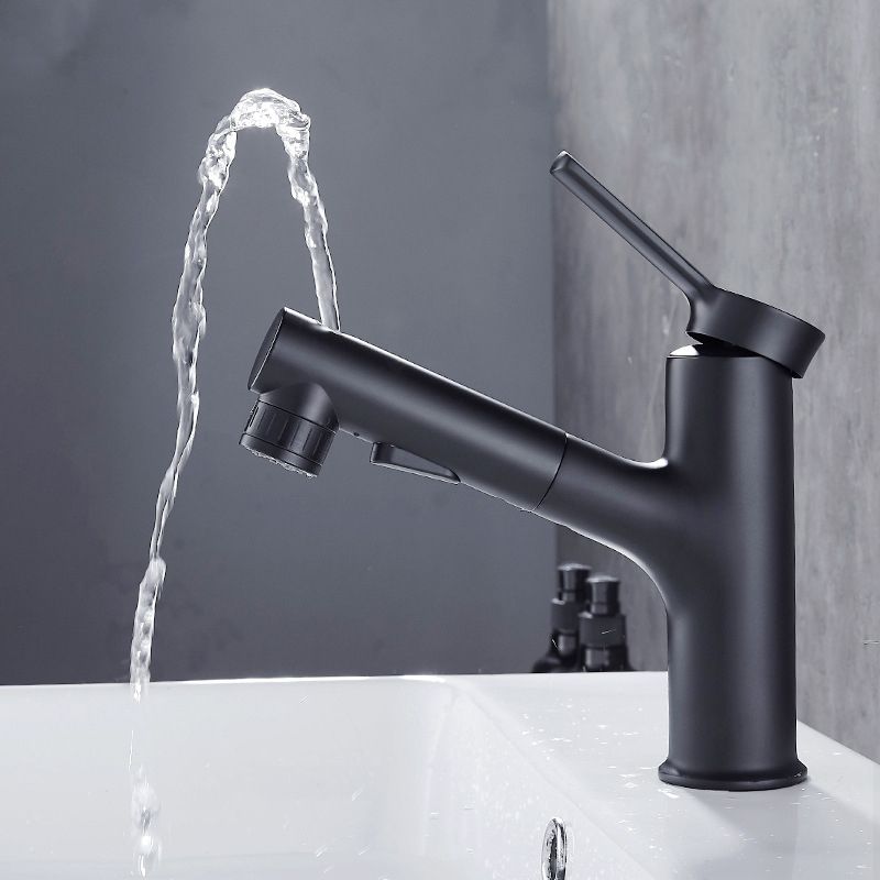 Lisslune | Contemporary Pull-out Sink Faucet with Lever Handle