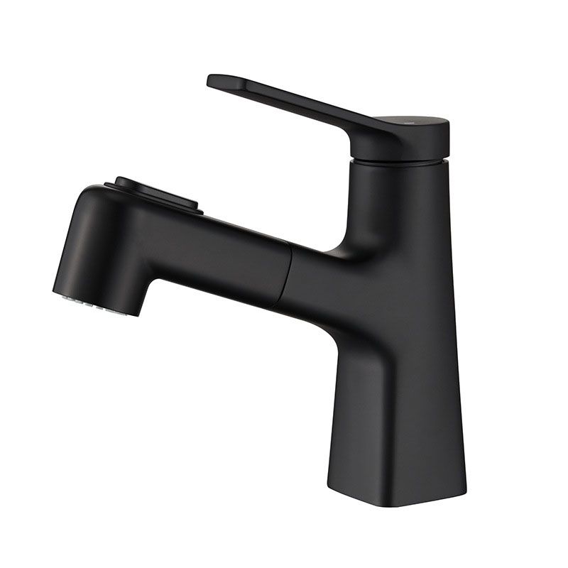 Lisslune | Contemporary Vessel Faucet Metal Single Lever Low Arc Vessel Faucet for the Bathroom