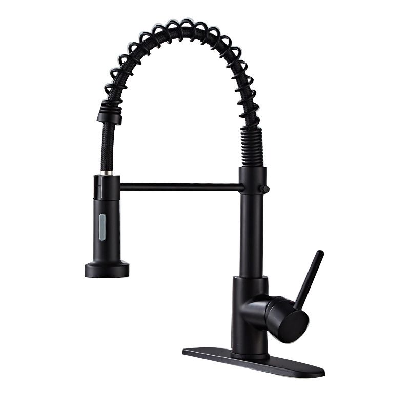 Lisslune | Glam Basin faucet Brass lever fittings Spring neck three-way outlet Bathroom sink faucet