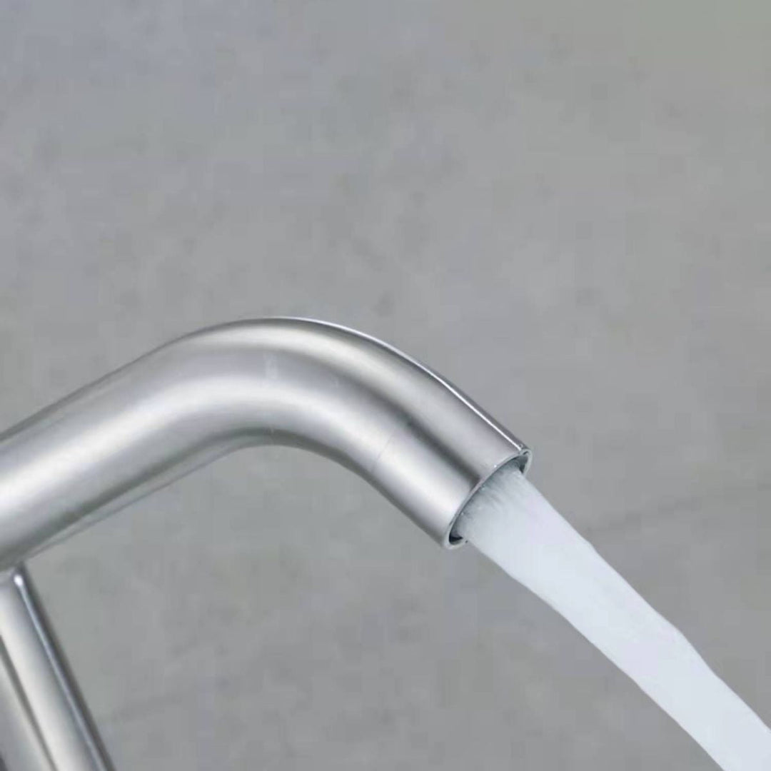 Lisslune | Stainless Steel Bathroom Faucet Chrome Lever Handle Sink Faucet with 1 Hole