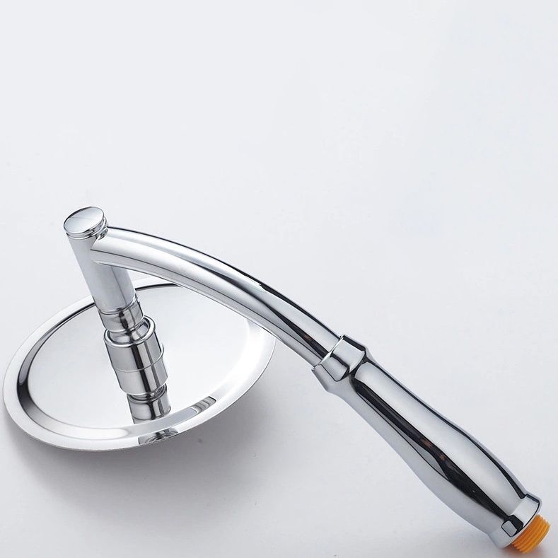 Lisslune | Hand shower standard spray wall supply holder handheld showerhead