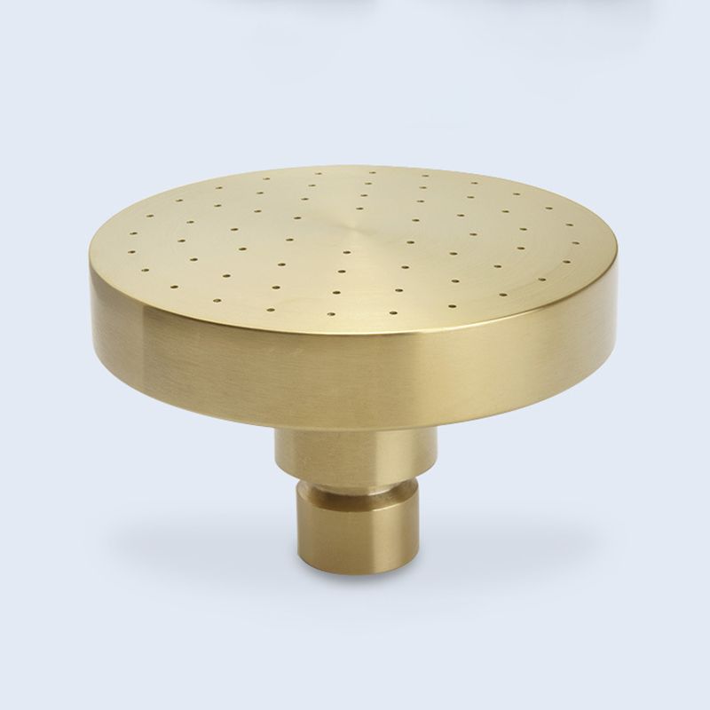 Lisslune | Stainless Steel Shower Combination Round Fixed Shower Head with Shower Arm