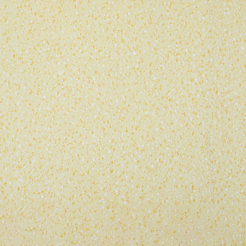 Lisslune | Indoor Flooring Peel and Stick Coiled PVC 200cm Waterproof Vinyl Flooring