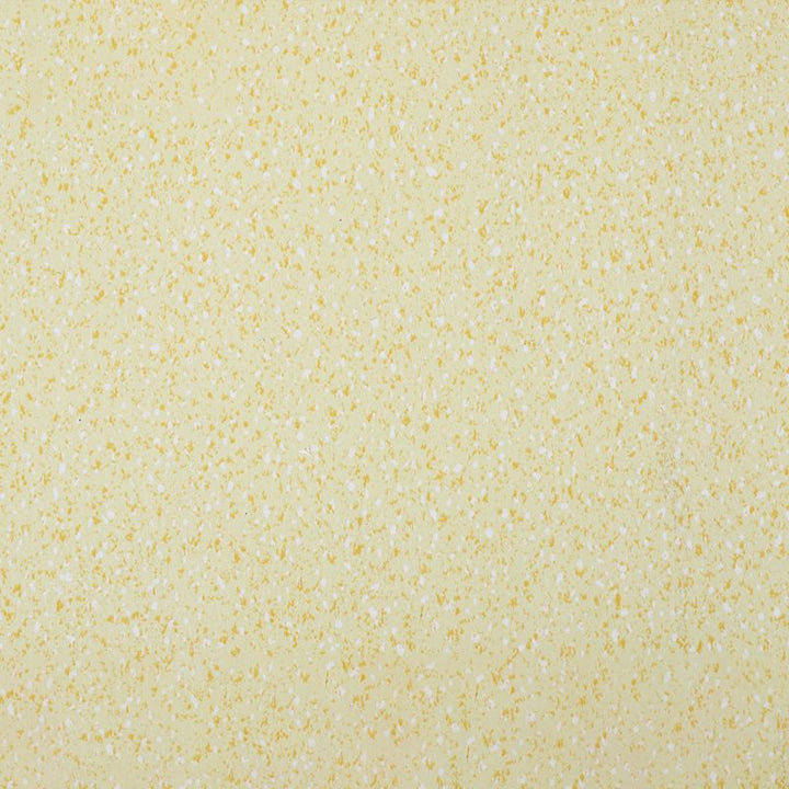 Lisslune | Indoor Flooring Peel and Stick Coiled PVC 200cm Waterproof Vinyl Flooring