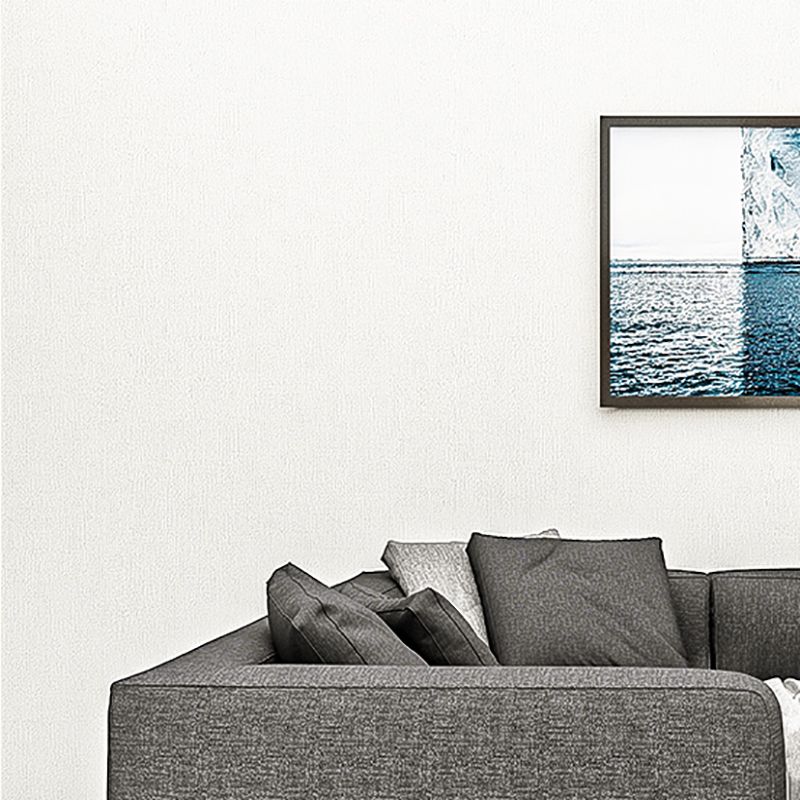 Lisslune | PVC Wall Panel for Peeling and Sticking Matte Texture Wall Covering for the Living Room