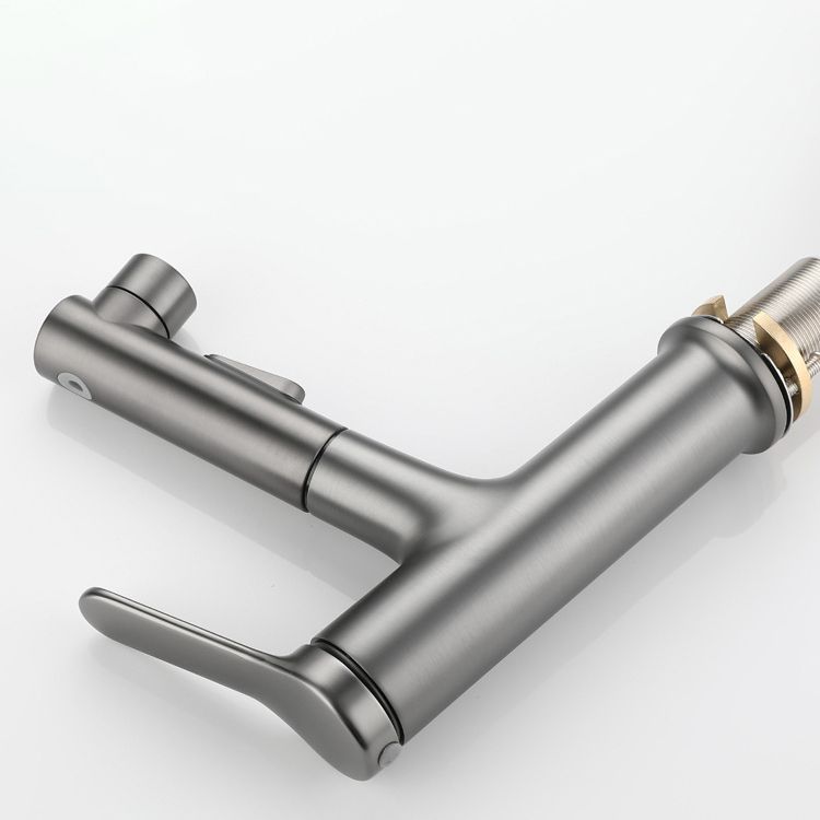 Lisslune | Extendable Bathroom Faucet Brass Modern Faucet with Water Hose