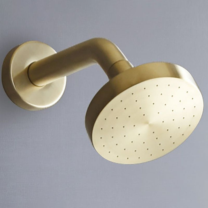 Lisslune | Stainless Steel Shower Combination Round Fixed Shower Head with Shower Arm