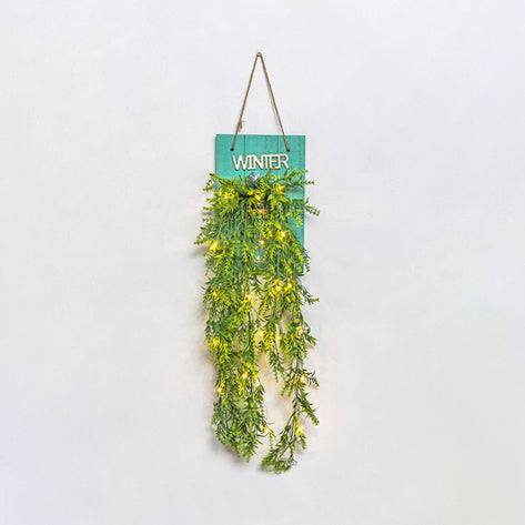 Skørter | Clear Glass Jar Wall Light Modern Plant Decor String Light with Green Wood Backplate