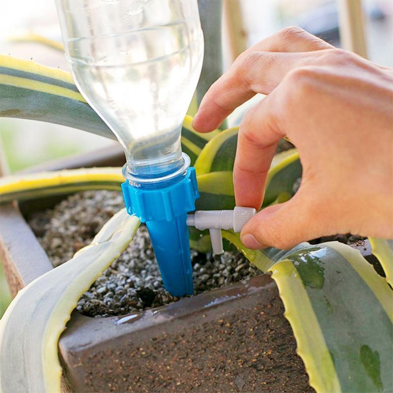 Lisslune | Irrigation System For Potted Plants